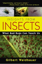 Insights From Insects