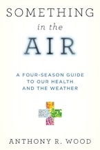 Something in the Air